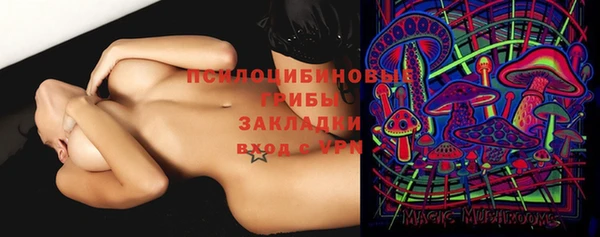 дживик Богородицк