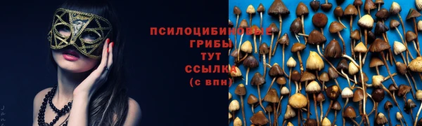 марки nbome Богданович