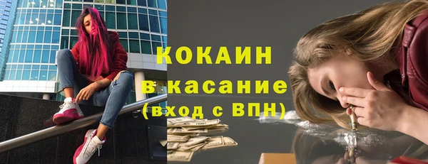 дживик Богородицк