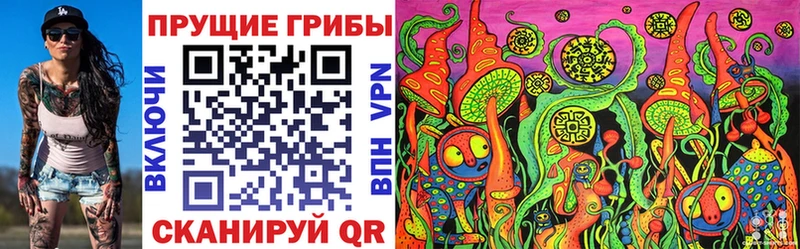 что такое наркотик  Верхний Уфалей  Псилоцибиновые грибы Psilocybe 