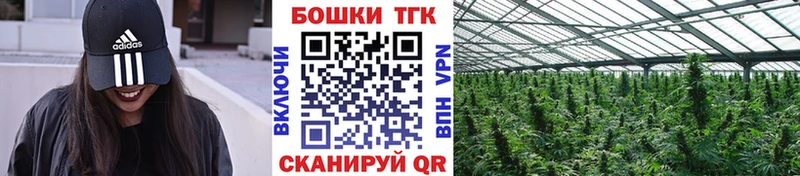 Шишки марихуана планчик  что такое наркотик  Верхний Уфалей 